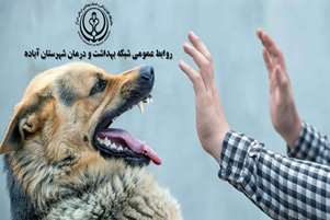 حیوان‌گزیدگی؛ اقدامی که می‌تواند جان فرد را نجات دهد