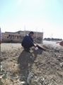 بررسی برنامه کنترل بیماری های منتقله از ناقلین در شهرستان آباده
