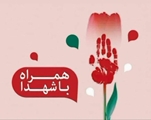 زندگی نامه شهید ورزشکار محمدرضا خردمند