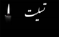 پیام تسلیت دکتر «زهرا نیکو» رئیس شبکه بهداشتی و درمانی و آموزشی شهرستان آباده در پی شهادت داماد ارجمند ریاست محترم نهاد نمایندگی رهبری در دانشگاه علوم پزشکی شیراز  